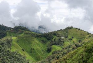 Peru Huabal Cajamarca