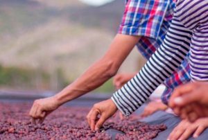 Nikaragua Jalapa Nueva Segovia