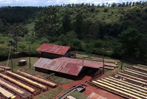 Kenya Gaturi Wathenge