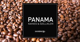 Panama Kahvesi